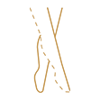 Muscle Weakness Atrophy