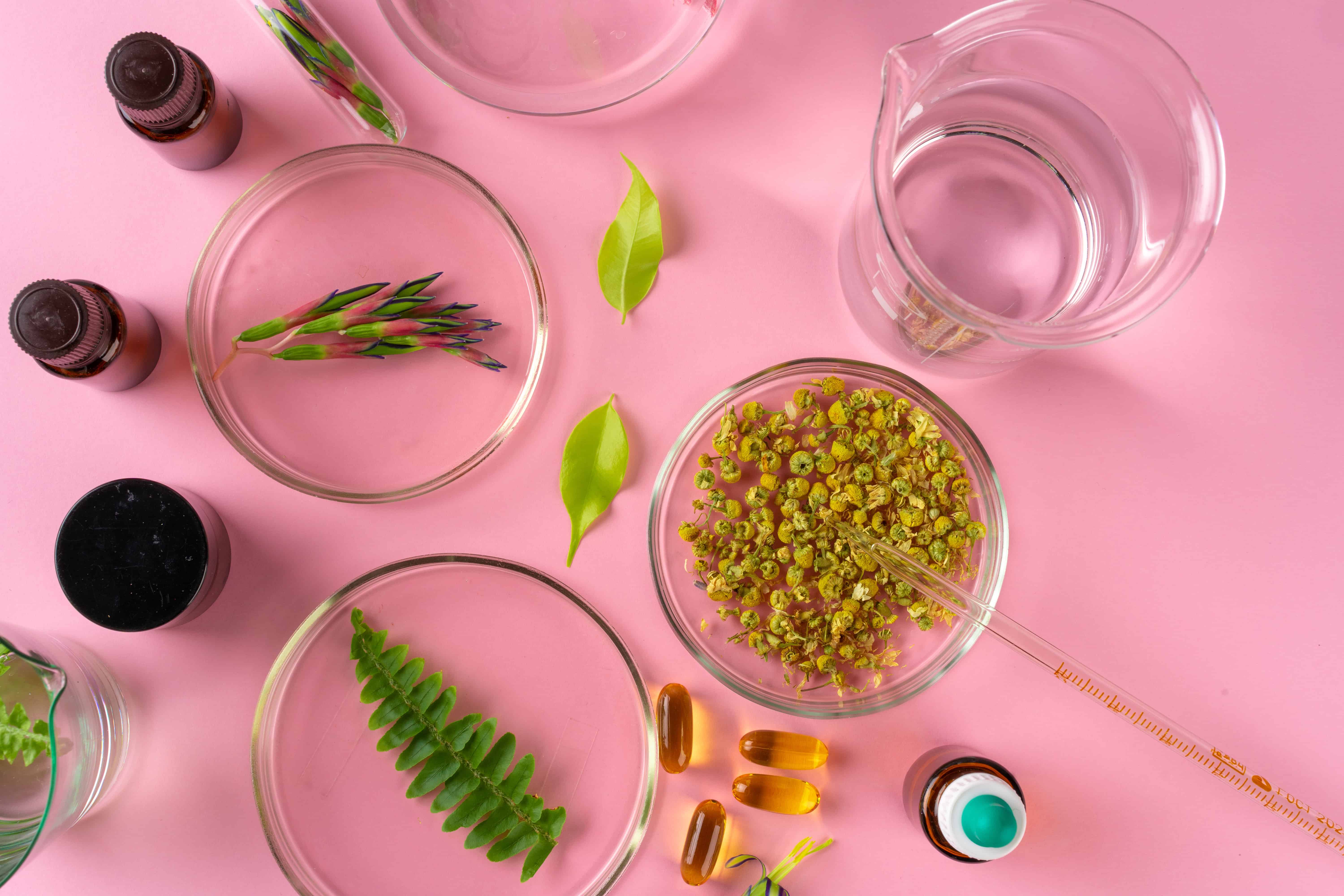 Herbs and Herbal dietary supplements top view on pink background